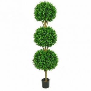 Buxus Tripple Ball